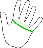 Glove size measurement