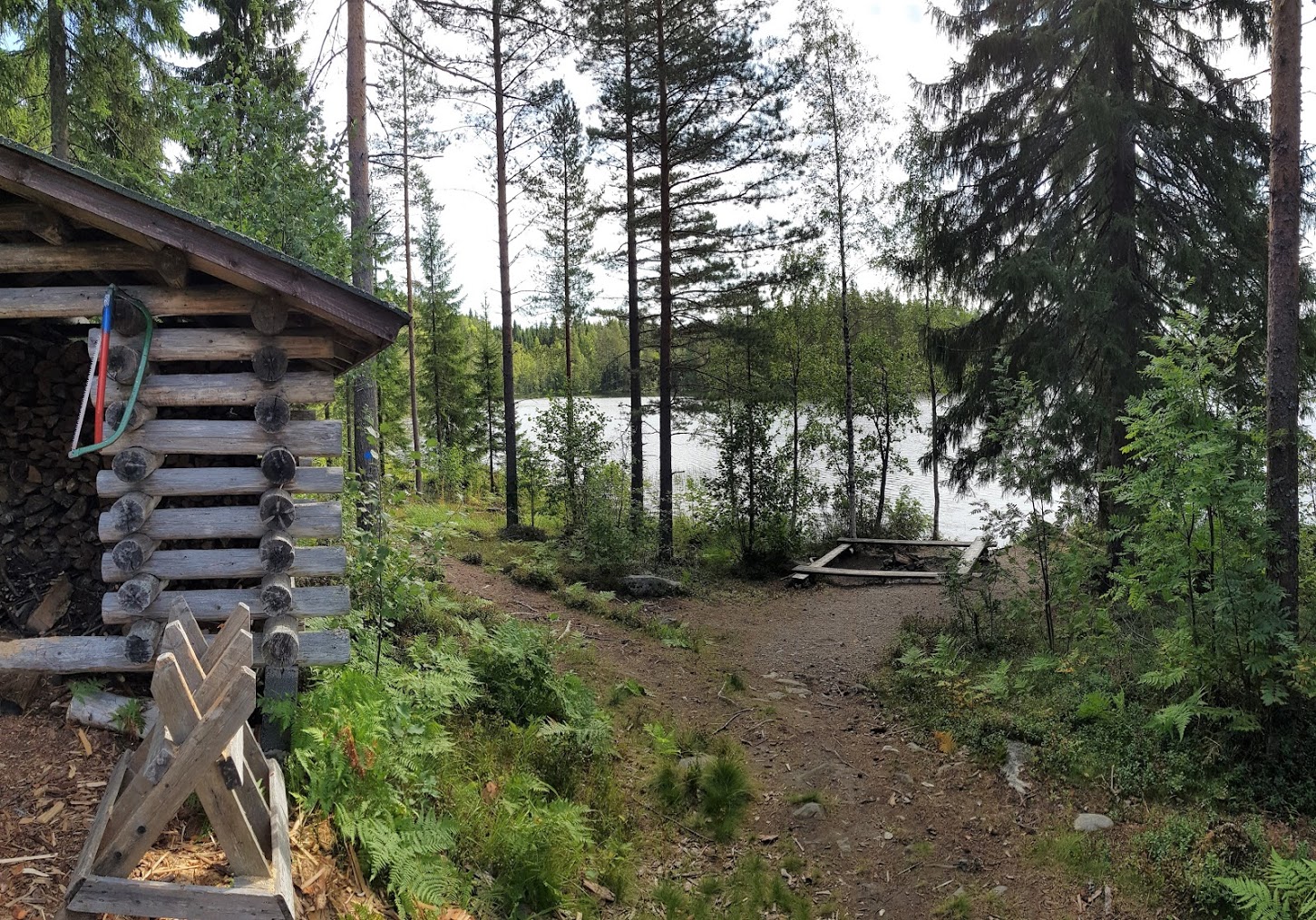Tulipaikka järven rannalla metsässä.