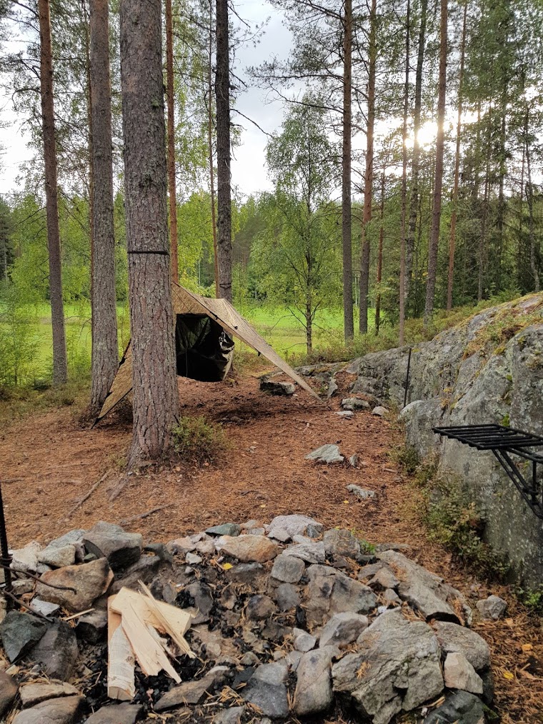 Riippumatto ripustettuna puiden väliin leiriytymispaikall. Maa on peittynyt neulasiin.