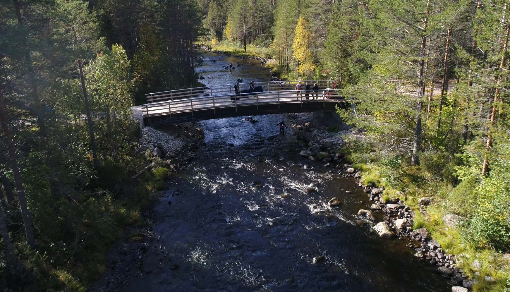 Silta joen yli metsässä, sillalla muutama ihminen.