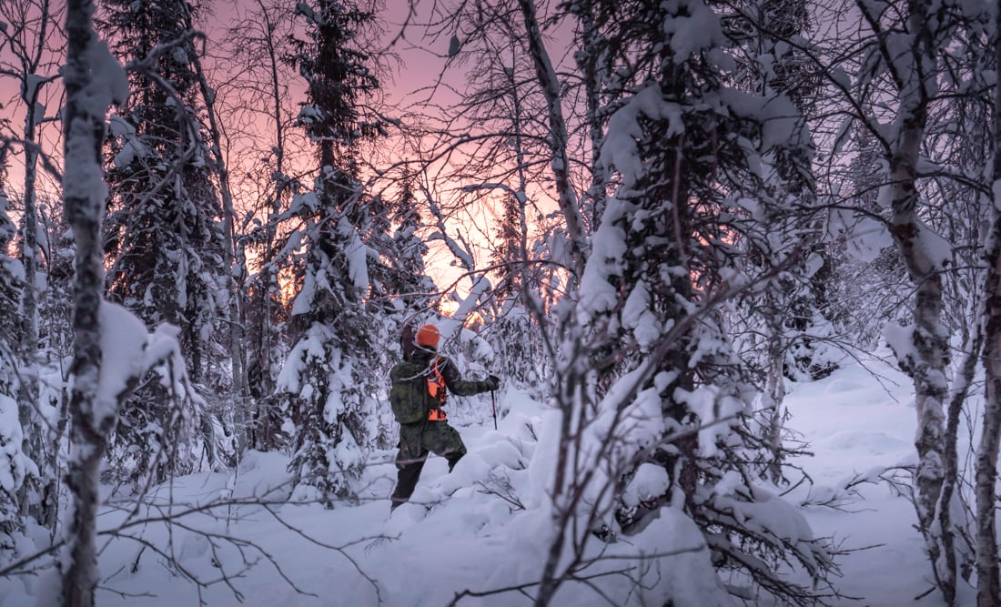A beautiful afterglow in the woods and a hunter skiing.