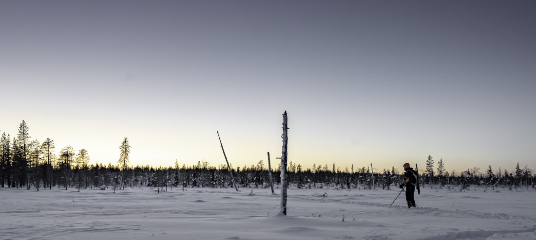 Aurinko siintää taivaanrannassa, hiihtäjä erämaamaisemassa.
