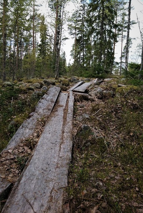 On a wilderness trail in Marttilan Korpi.