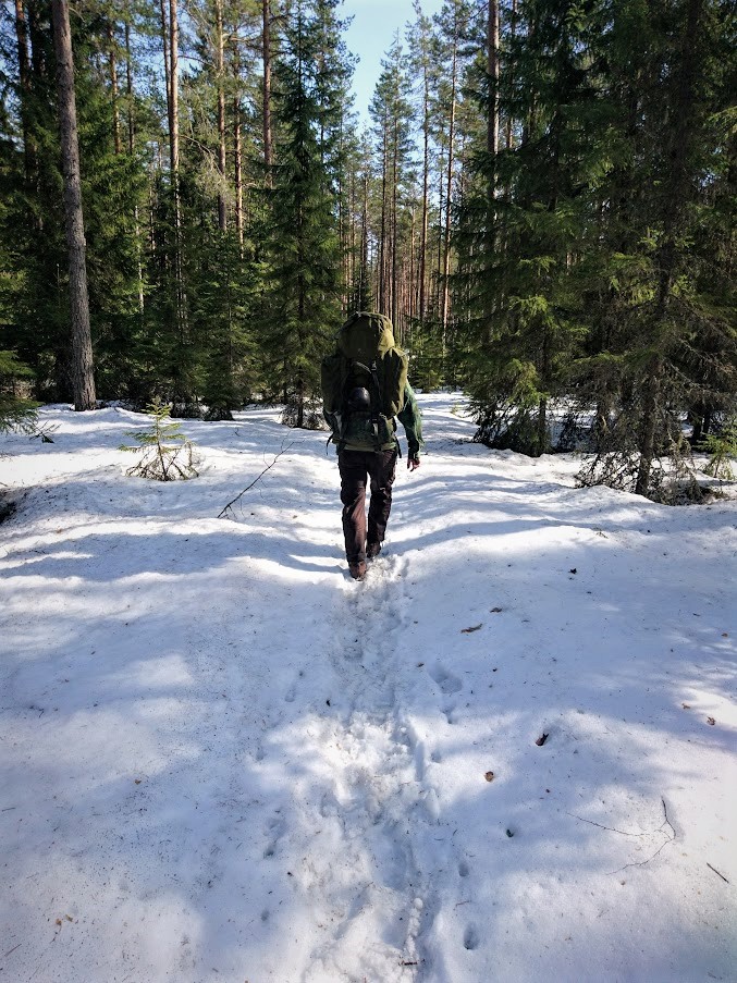 Seitsemisen kansallispuisto keväällä.