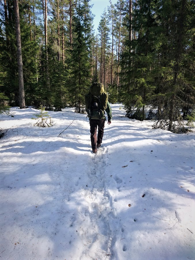 Seitseminen National Park in the springtime.