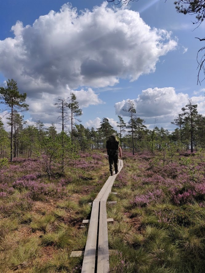 The Kurjenrahka National Park and its duckboards.