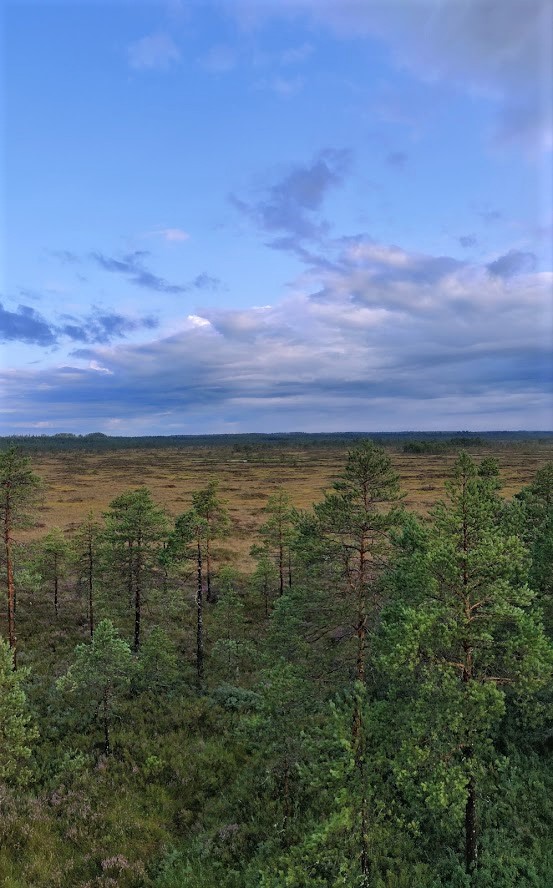 Näkymä näkötornista ukonilman jälkeen.