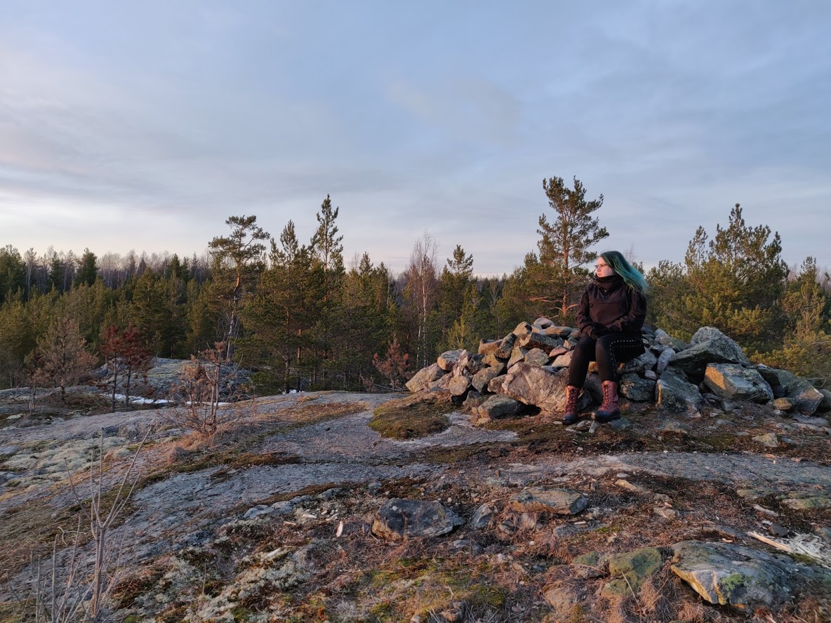 The coast of Kopparnäs.