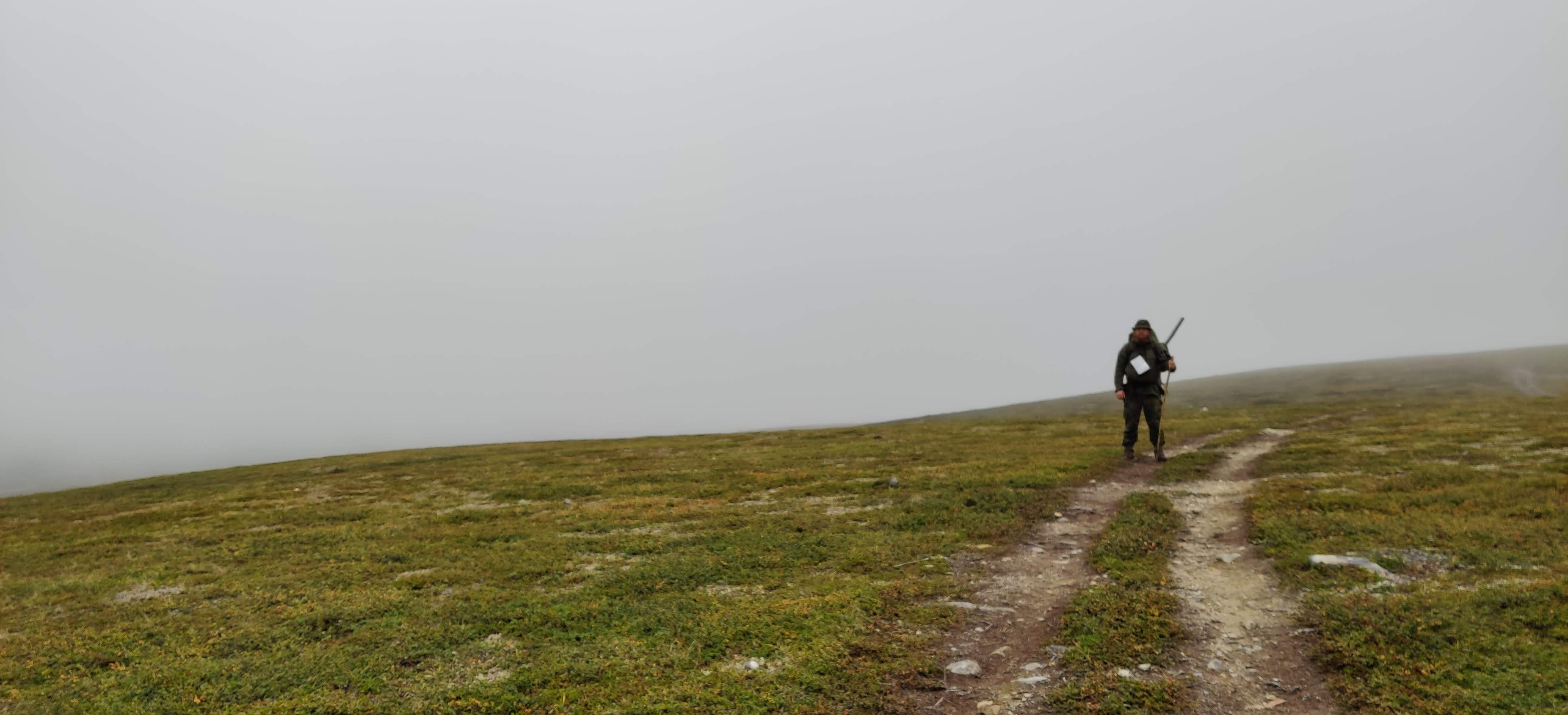 The mist starts to cover the peak of the fell