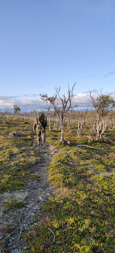  Ilta-aurinko paistaa