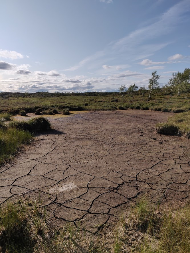 Most of the ponds marked on the map looked like this.