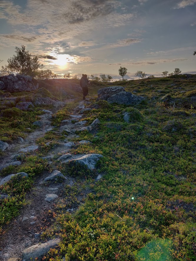 Viimeistä telttapaikkaa metsästämässä