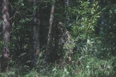 Mil-Tec Oak Leaf 3D ghillie suit. Standing, photographed from approx. 15 m away.