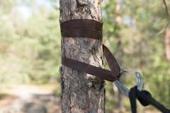 DD Hammocks Tree Huggers.