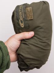 Carinthia sleeping bag liner.