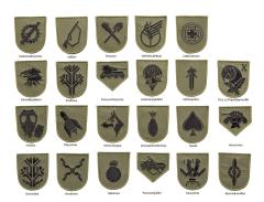 Särmä TST M05 training branch insignia, subdued.