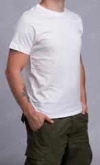 Continental T-shirt.