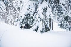 Särmä TST Thermal Cloak.