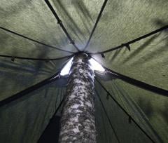 Savotta Hawu 8 tent. Hawu pitched around a tree.
