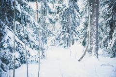 Särmä TST L7 Camouflage cloak.