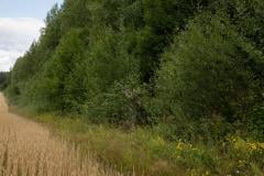Särmä TST L7 Camouflage cloak.