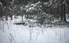 Särmä TST L7 Camouflage Anorak.