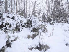Särmä TST L7 Camouflage Anorak.