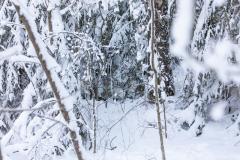 Särmä TST L7 Camouflage Anorak.
