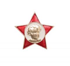 Soviet badge, "ugly child", surplus. 