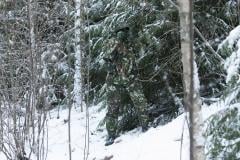 Särmä TST L5 Thermal Anorak.