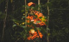 Särmä Jorma Hunting Jacket.