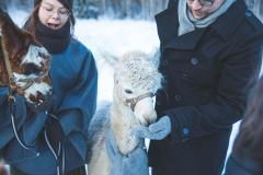 Särmä Alpaca Mittens.