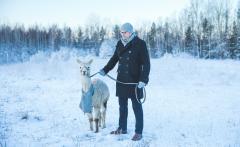 Särmä Alpaca Scarf. 