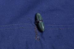 Romanian Plash-palatka Rain Cape/Shelter Half, Blue, Surplus.
