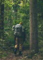 US MOLLE II Rucksack with Frame and Sustainment Pouches, UCP, Surplus.