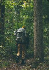 US MOLLE II Rucksack with Frame and Sustainment Pouches, UCP, Surplus. 