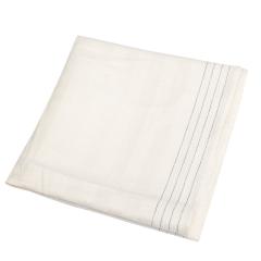 BW Dish Towel, Off-white with Stripes, Surplus.