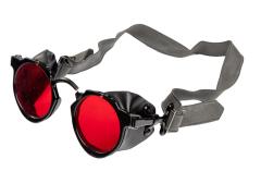 Swiss Mountain Trooper Goggles w. Aluminum Case, Surplus.