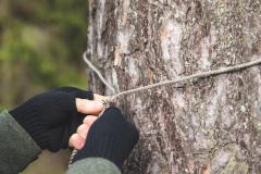 US Guy Rope, Nylon, 15' / 4.6 m.