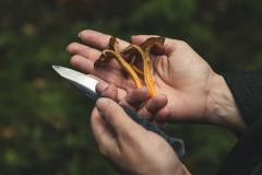 Terävä Tiny Knife, Carbon Steel.