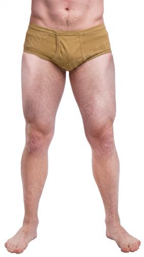 Dutch underpants, surplus Dutch underpants, surplus