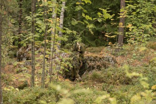 Mil-Tec Oak Leaf 3D ghillie suit.