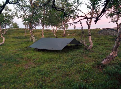 DD Hammocks Frontline Hammock. You can set the hammock low if you want to be covert or the trees do not allow higher positioning.