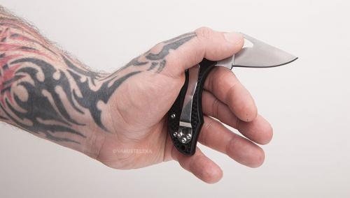 Spyderco Byrd Robin 2 folding knife.