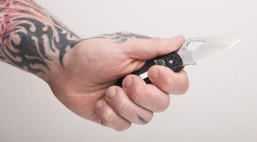 Spyderco Byrd Robin 2 folding knife.