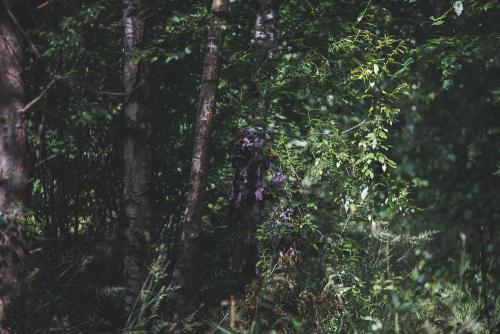 Snigel Ghillie Cloak 14. Standing, photographed from approx. 15 m away.