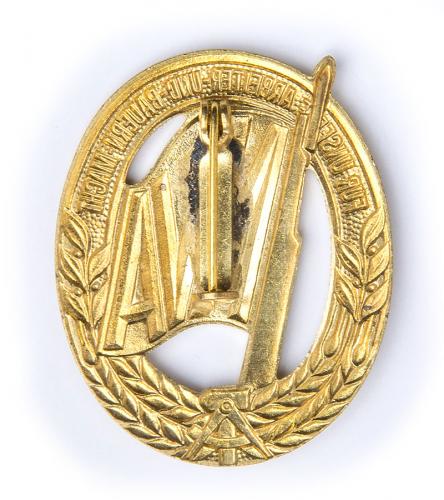 NVA sports qualification badge, gold.