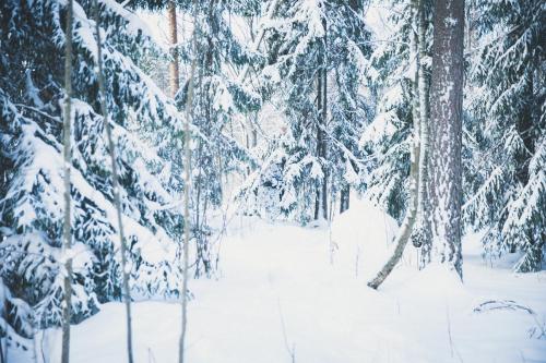 Särmä TST L7 Camouflage cloak.