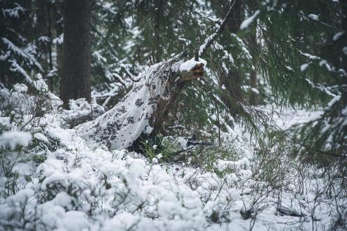 Särmä TST L7 Camouflage cloak.