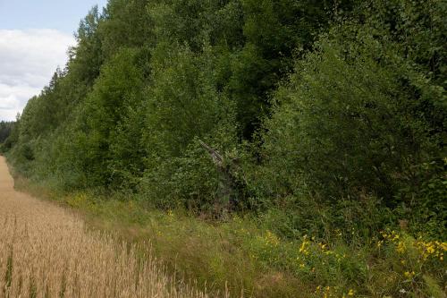 Särmä TST L7 Camouflage cloak.